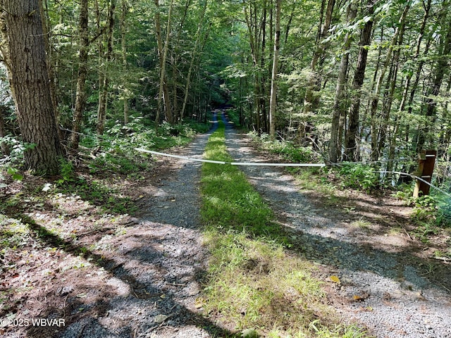 Listing photo 33 - caption unavailable