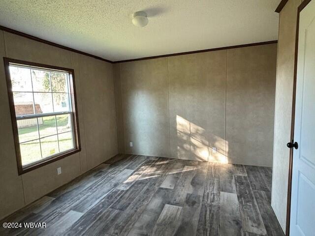 spare room with dark hardwood / wood-style floors, crown molding, and a textured ceiling