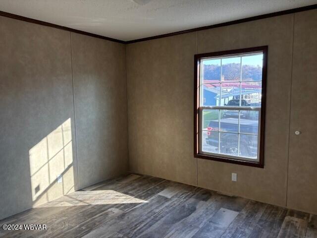 spare room with hardwood / wood-style floors, a textured ceiling, and crown molding