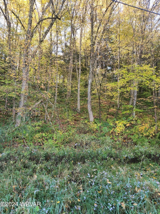 900 Christian Camp Rd, Muncy Valley, PA 17758 - photo 15