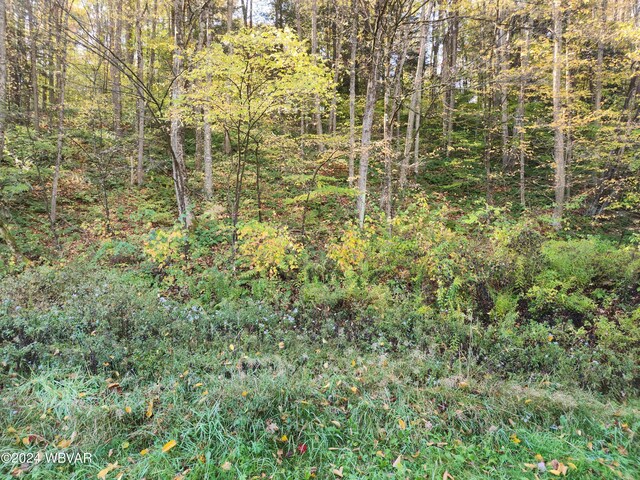 900 Christian Camp Rd, Muncy Valley, PA 17758 - photo 17