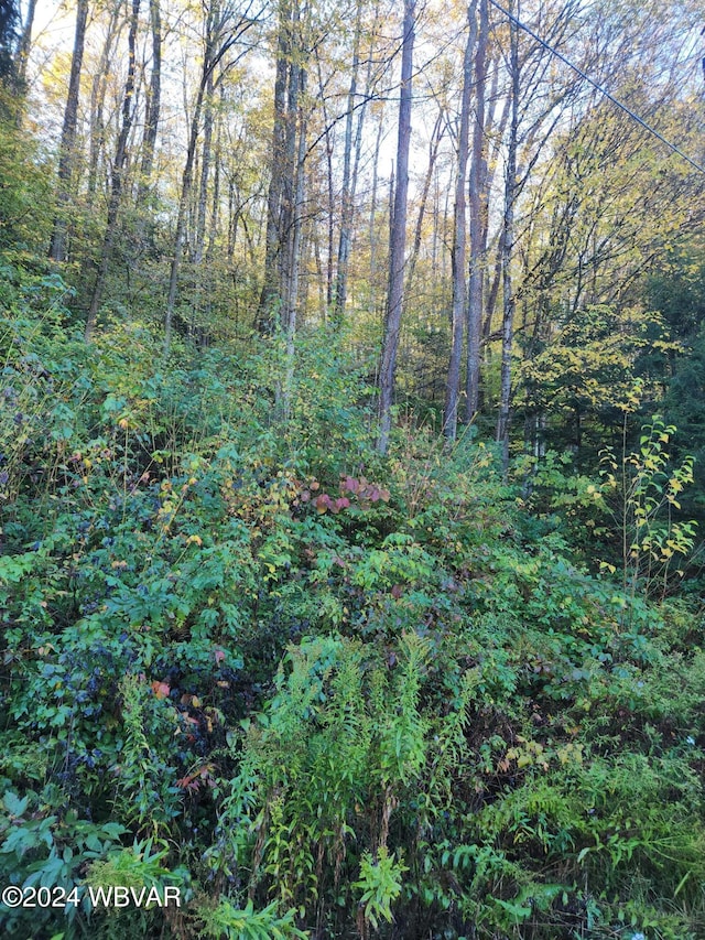 900 Christian Camp Rd, Muncy Valley, PA 17758 - photo 16