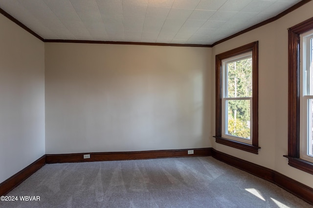 carpeted spare room featuring crown molding