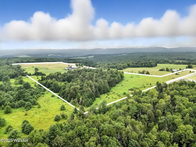 484 Hill Rd, Forksville, PA 18616 - photo 28