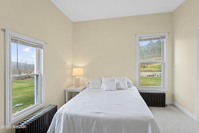 411 Hanks Rd, Troy, PA 16947 - photo 25