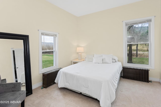 411 Hanks Rd, Troy, PA 16947 - photo 23