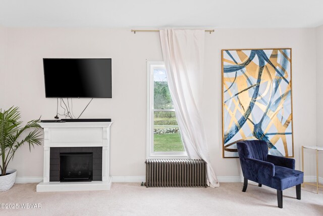 411 Hanks Rd, Troy, PA 16947 - photo 8