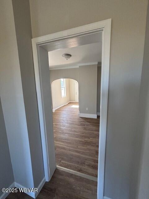 hall featuring baseboards, arched walkways, and dark wood-style flooring