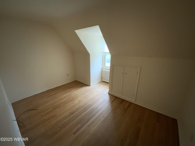 699 James St, Lock Haven, PA 17745 - bonus room with radiator heating unit, light wood-style flooring, and vaulted ceiling