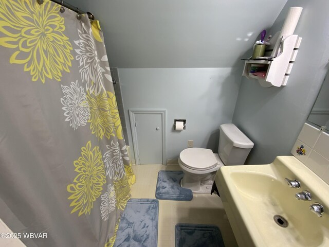 699 James St, Lock Haven, PA 17745 - full bath with a sink, toilet, and a shower with shower curtain