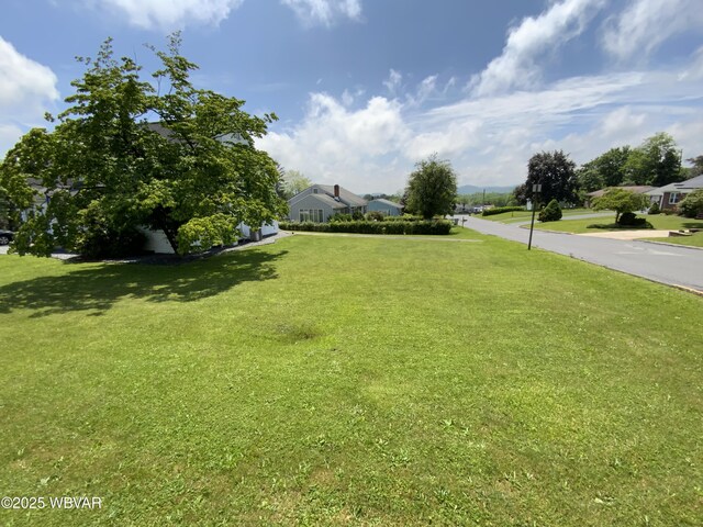 699 James St, Lock Haven, PA 17745 - view of green lawn