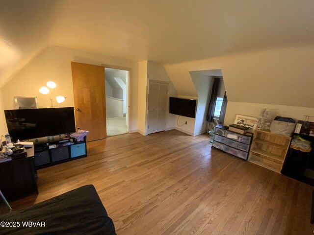 699 James St, Lock Haven, PA 17745 - additional living space featuring vaulted ceiling and wood finished floors