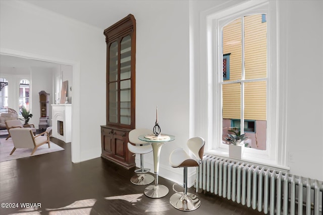 sitting room with radiator heating unit and dark hardwood / wood-style floors