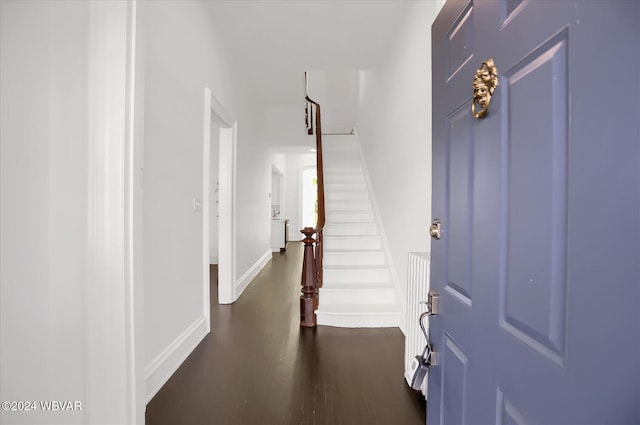 foyer featuring dark hardwood / wood-style flooring