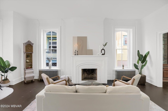 living room with radiator heating unit and dark wood-type flooring