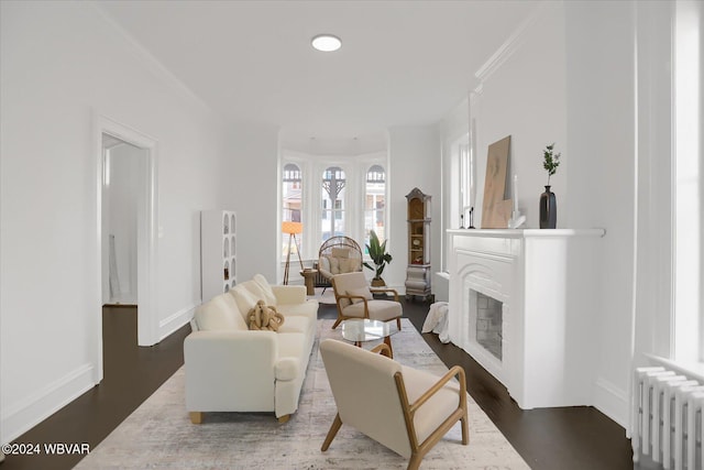 living room with radiator, crown molding, and dark hardwood / wood-style flooring