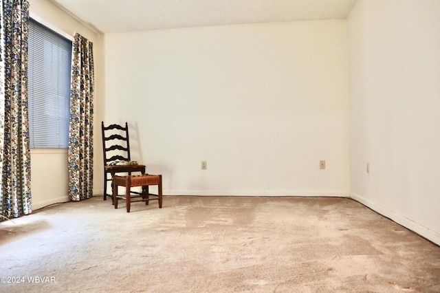 empty room featuring carpet