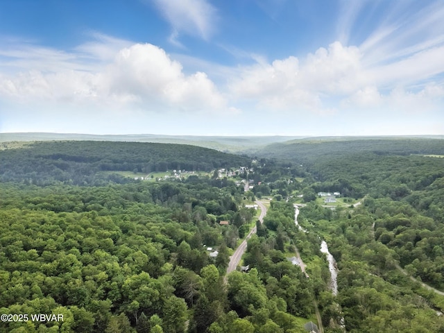 0196 Rte 487, Lopez, PA 18628 - photo 12