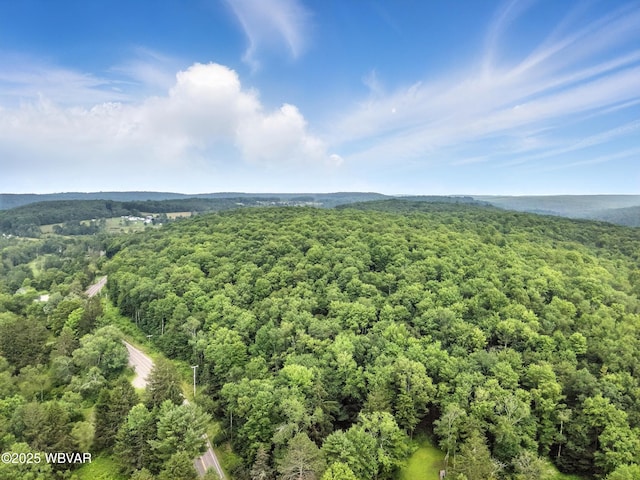 0196 Rte 487, Lopez, PA 18628 - photo 8