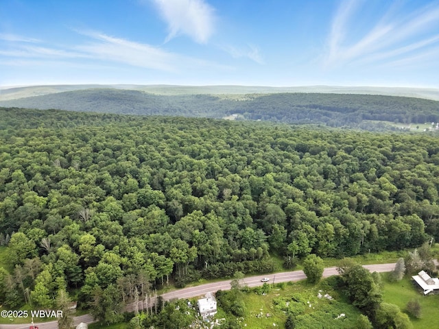 0196 Rte 487, Lopez, PA 18628 - photo 11