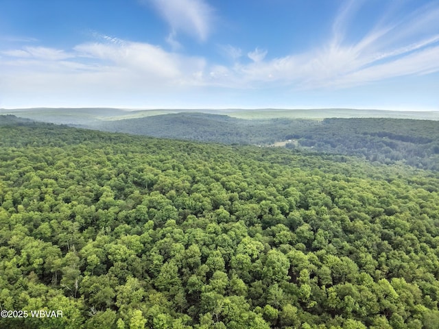 0196 Rte 487, Lopez, PA 18628 - photo 10