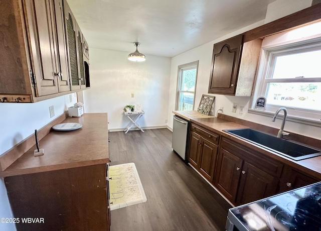1420 Richards Ave, Williamsport, PA 17701 - kitchen featuring dishwasher, dark wood-style flooring, plenty of natural light, and dark brown cabinets