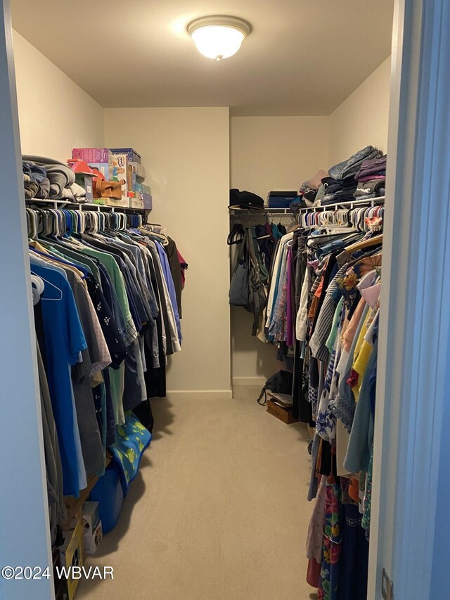 spacious closet featuring carpet floors