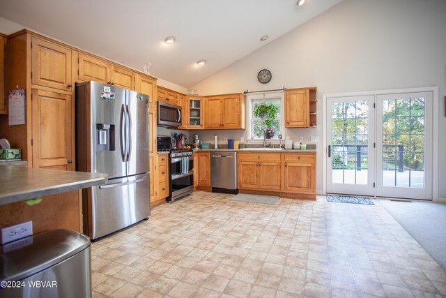 kitchen featuring stainless steel appliances, high vaulted ceiling, and sink