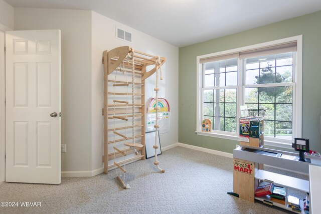 carpeted office space featuring a wealth of natural light