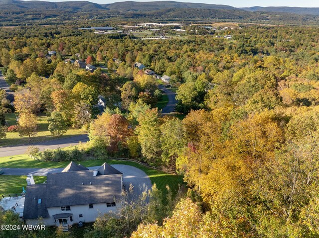 bird's eye view featuring a mountain view