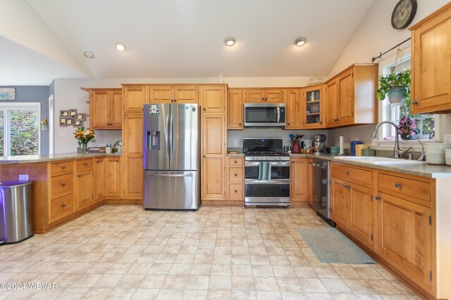 kitchen with sink, vaulted ceiling, and appliances with stainless steel finishes