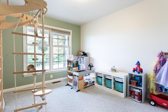 recreation room with carpet flooring and a wealth of natural light