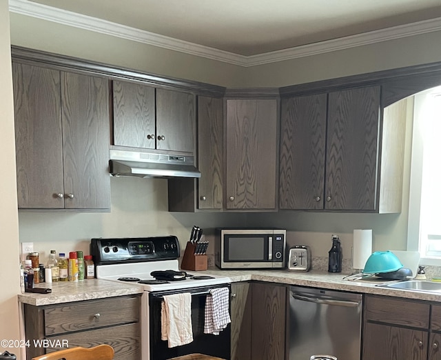 kitchen with dark brown cabinets, sink, ornamental molding, and stainless steel appliances