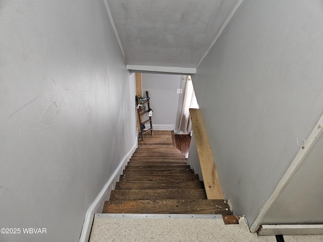 225 Pickwick St, Mill Hall, PA 17751 - staircase with wood finished floors and crown molding