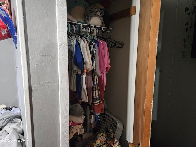 225 Pickwick St, Mill Hall, PA 17751 - view of closet