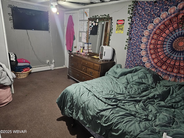 225 Pickwick St, Mill Hall, PA 17751 - carpeted bedroom with baseboard heating