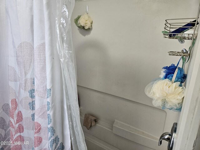 225 Pickwick St, Mill Hall, PA 17751 - bathroom with a shower with shower curtain