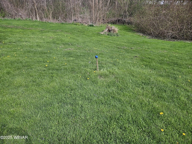 225 Pickwick St, Mill Hall, PA 17751 - view of yard