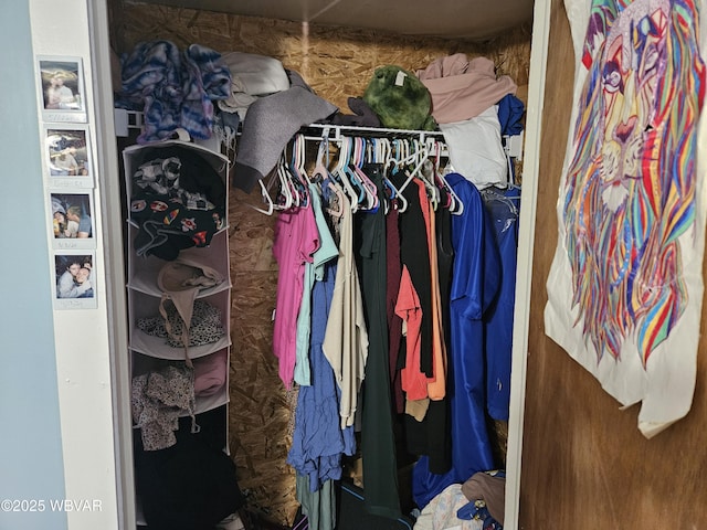 225 Pickwick St, Mill Hall, PA 17751 - view of spacious closet