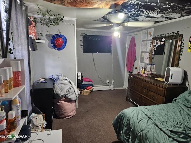 225 Pickwick St, Mill Hall, PA 17751 - carpeted bedroom featuring baseboard heating