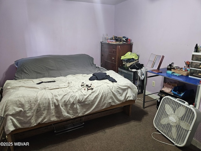 225 Pickwick St, Mill Hall, PA 17751 - view of carpeted bedroom