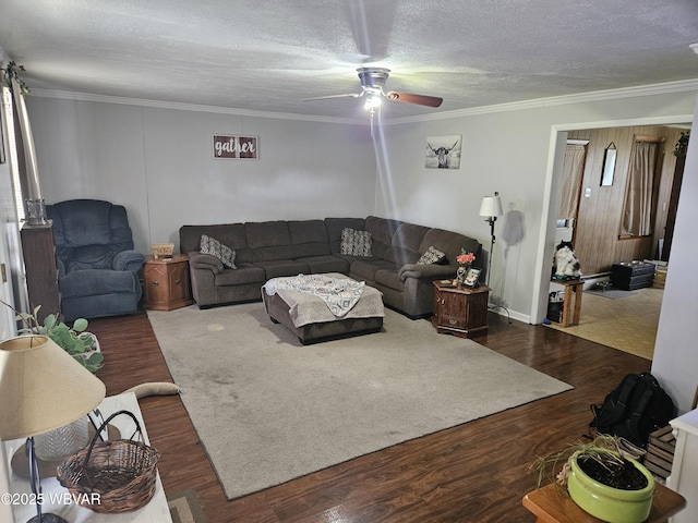 225 Pickwick St, Mill Hall, PA 17751 - living room with ceiling fan, crown molding, a textured ceiling, and dark wood-style floors
