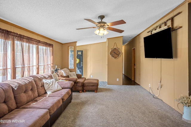 living area featuring crown molding, carpet floors, ceiling fan, and a textured ceiling