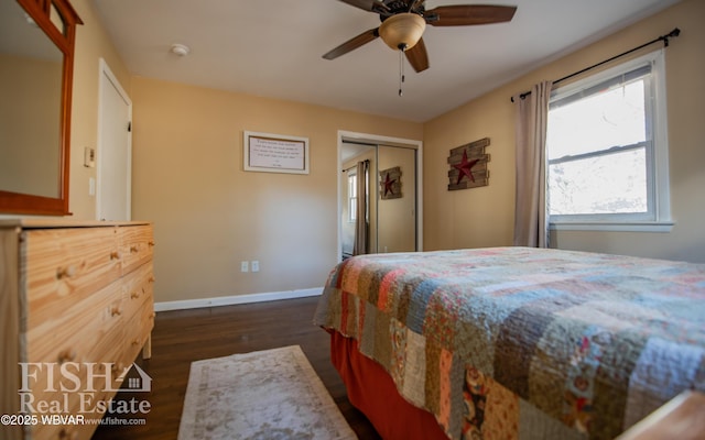 bedroom with dark wood-type flooring, ceiling fan, and a closet