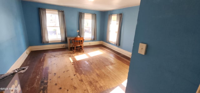 spare room with hardwood / wood-style flooring