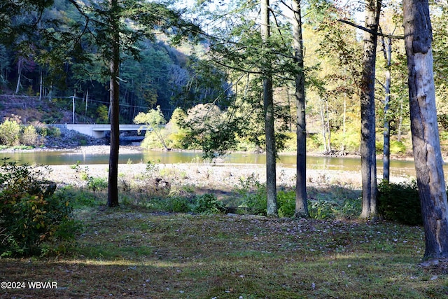 view of yard with a water view