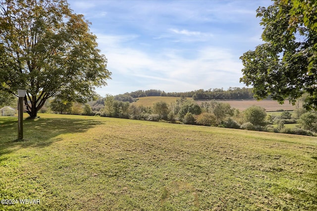 view of yard featuring a rural view