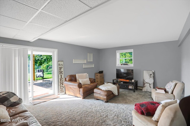 carpeted living area with a healthy amount of sunlight