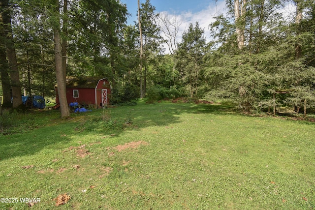 715 Park Ave, Lock Haven, PA 17745 - view of grassy yard with a storage shed