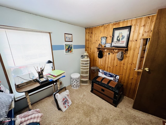 interior space with carpet and wooden walls